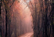 2026欧洲区世界杯预选赛有哪些看点？